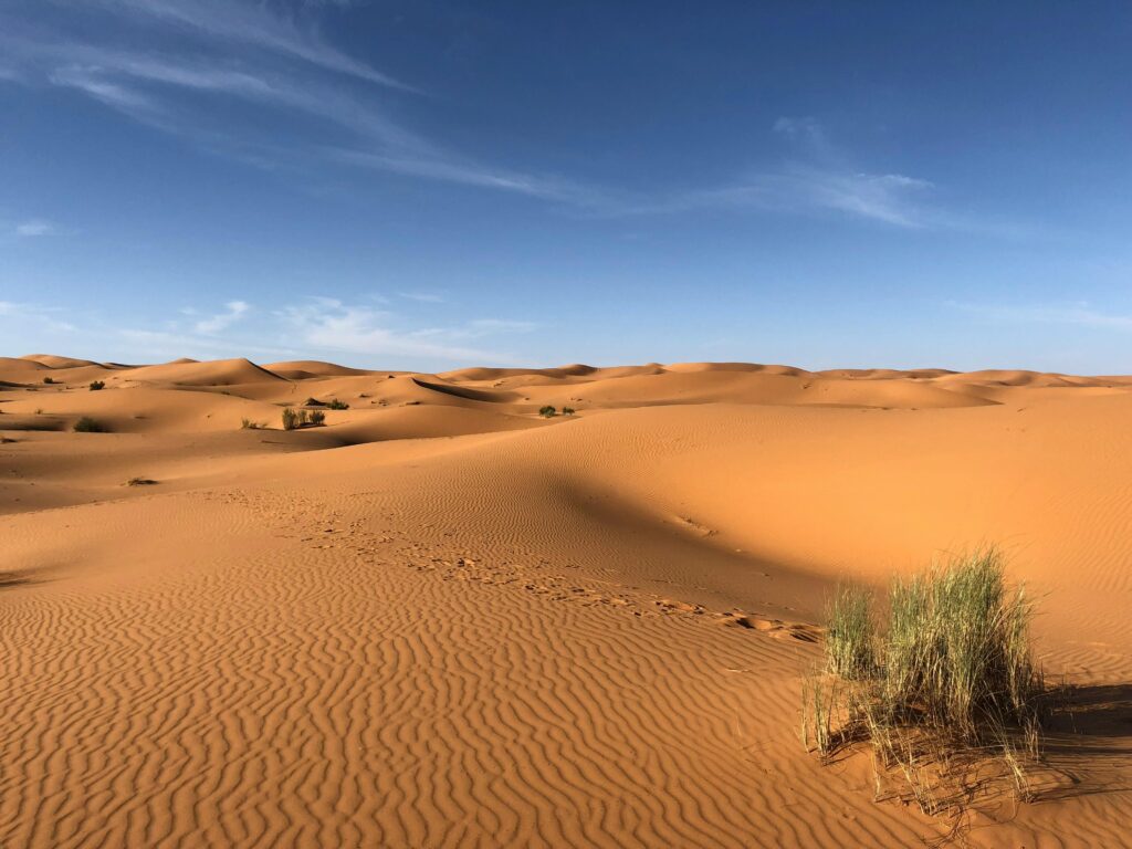 Sustainable Energy in the Desert